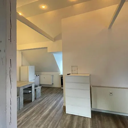 Fuer Beruflich Reisende Apartmán *